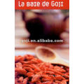 La BaIe de GOJI